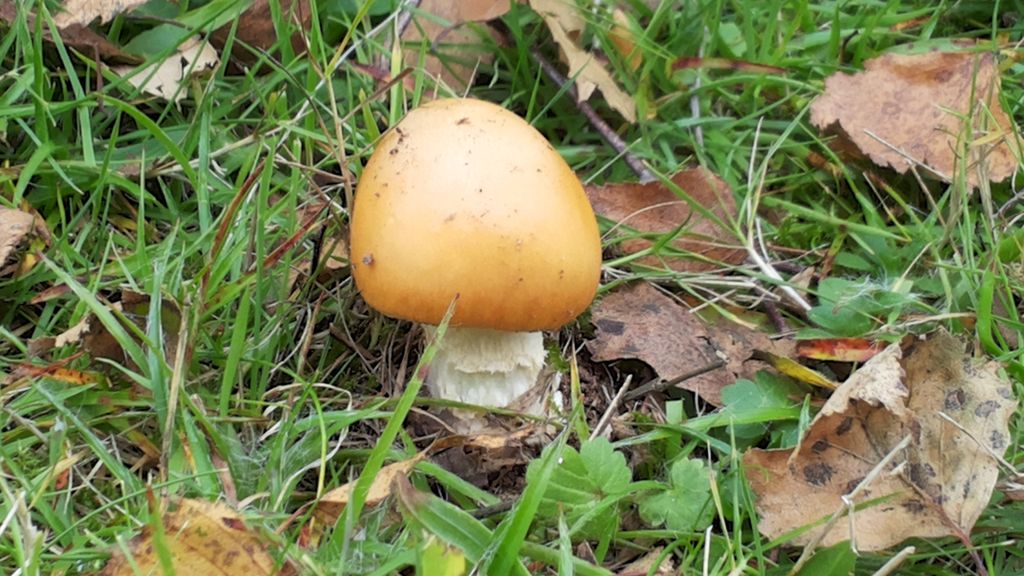 2015-10-18 13.10-v1.jpg