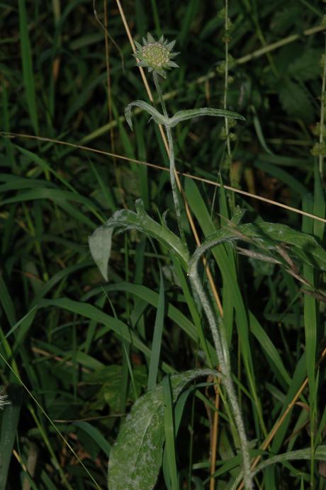 DSC_2248 verkleinert.JPG