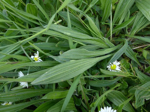 P2240710_D,HE,Höchst (134).jpg