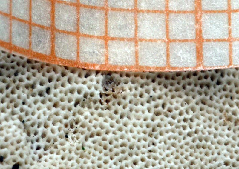 Nr_08-bbb (Copy).jpg