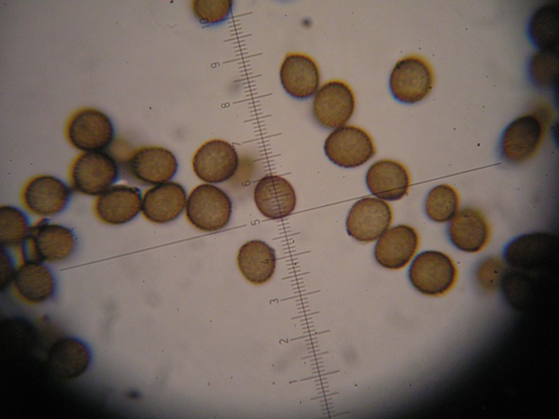 1000er Terri (30).JPG