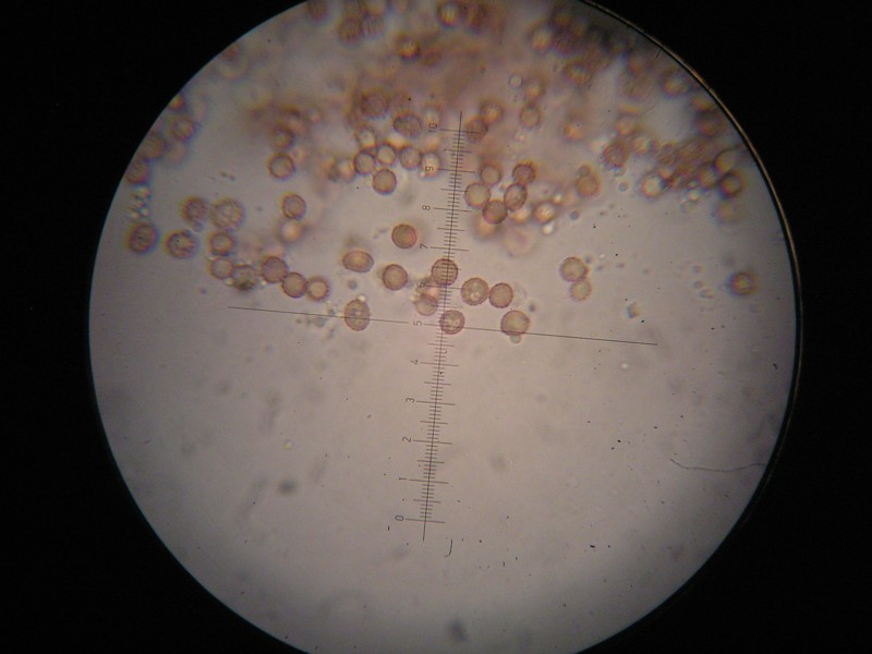 1000er Terri (21).JPG