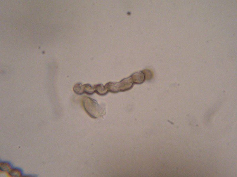 1000er Stausee (13).JPG