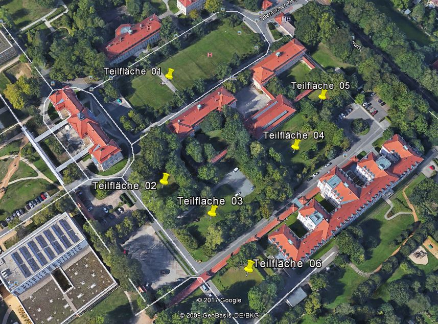 HBK_Layout Fundnotizen.JPG