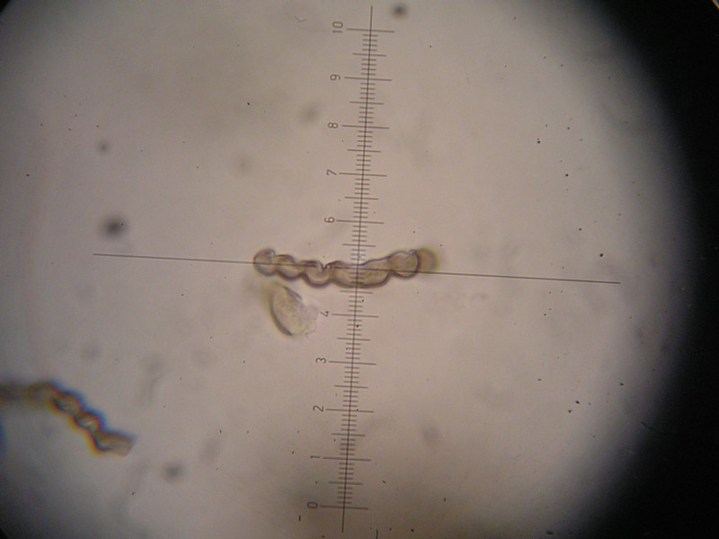 1000er Stausee (19).JPG