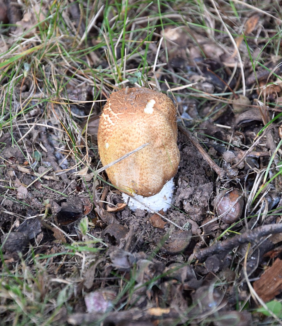 10.09.17_HBK TF-3_1.0.JPG