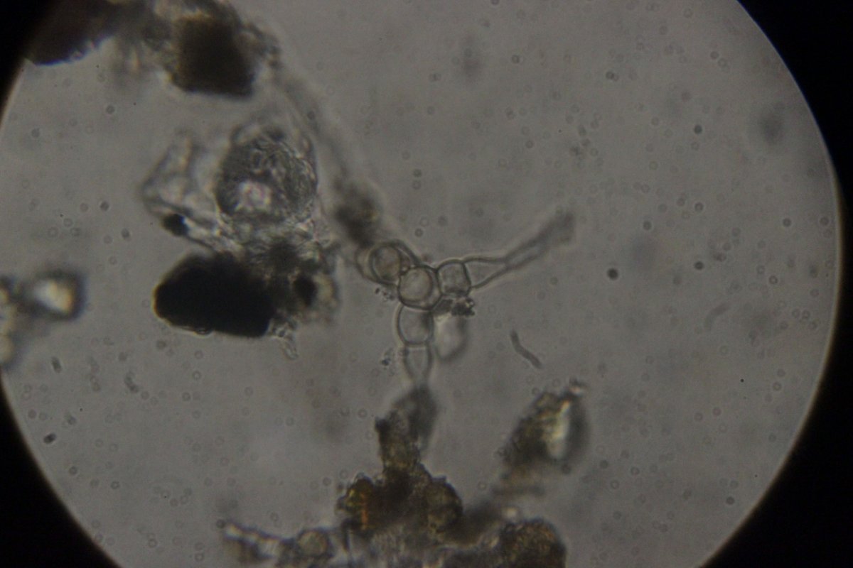 Gleispark Frintrop-0032.jpg