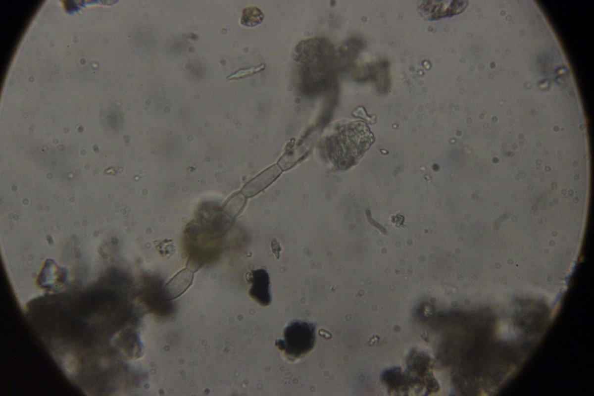 Gleispark Frintrop-0034.jpg