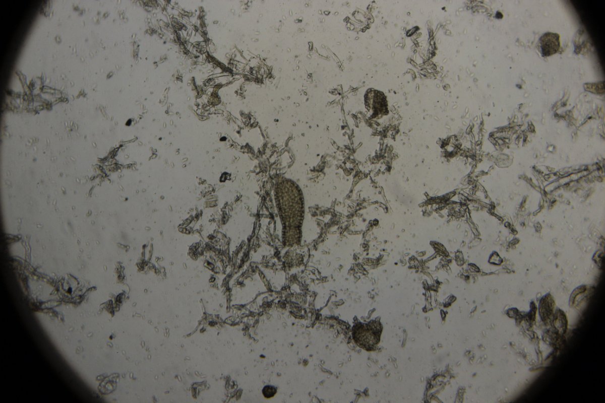 Gleispark Frintrop-0046.jpg