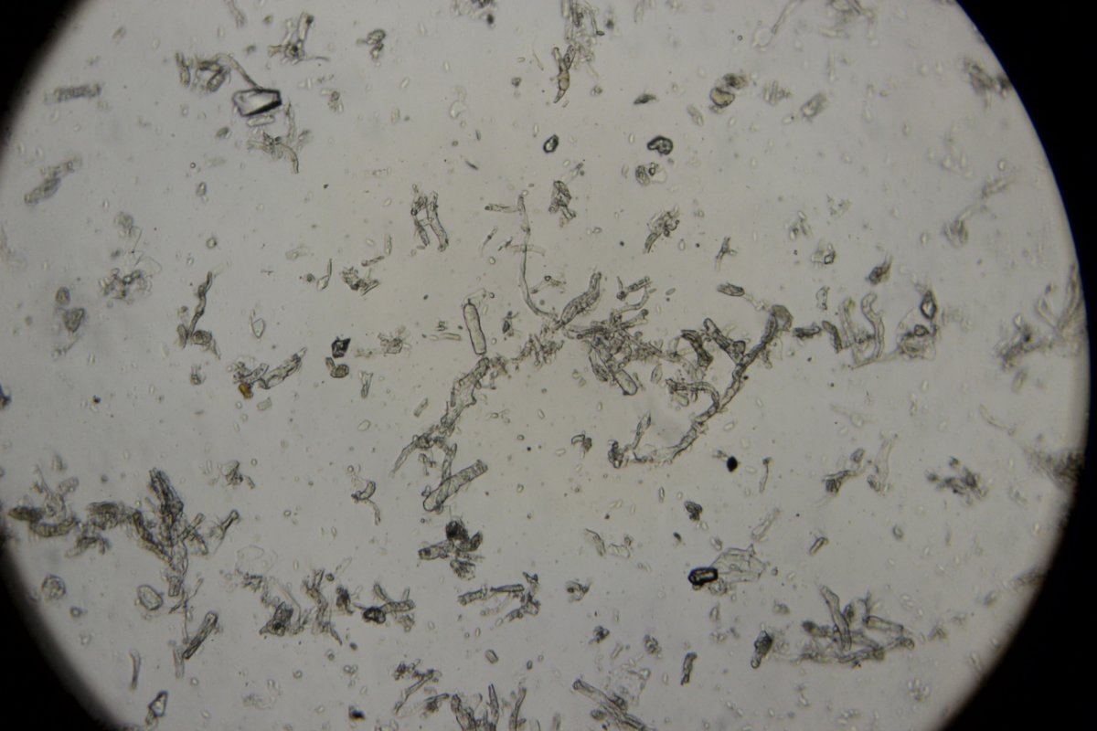 Gleispark Frintrop-0048.jpg