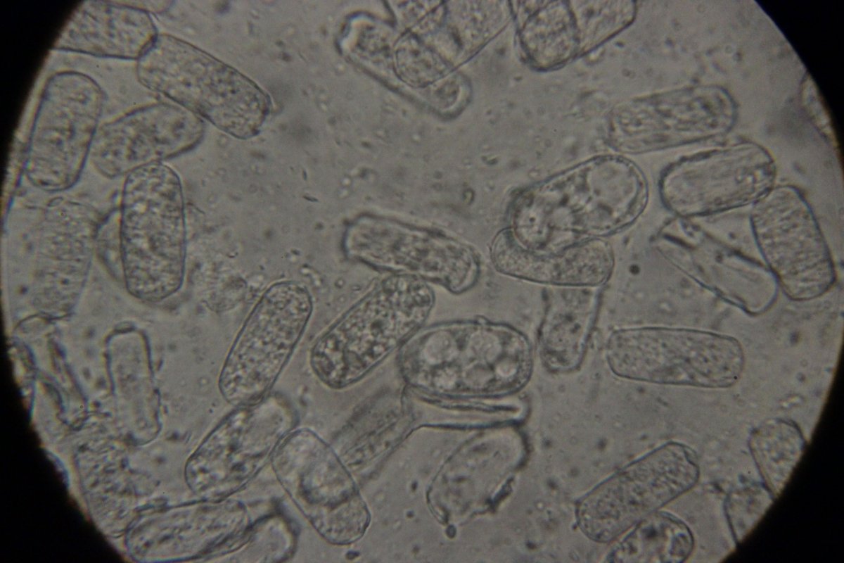 Gleispark Frintrop-0028.jpg