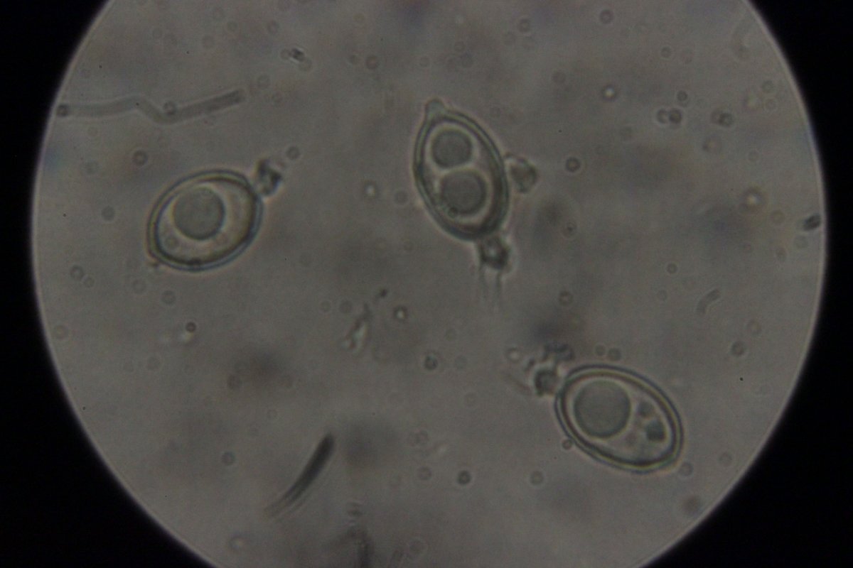 Botanischer Garten Duisburg-0040.jpg