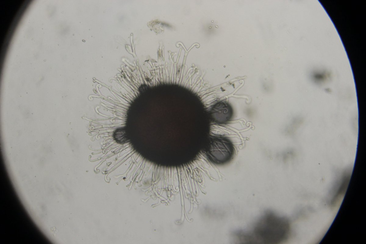 Halde Rungenberg-3715.jpg