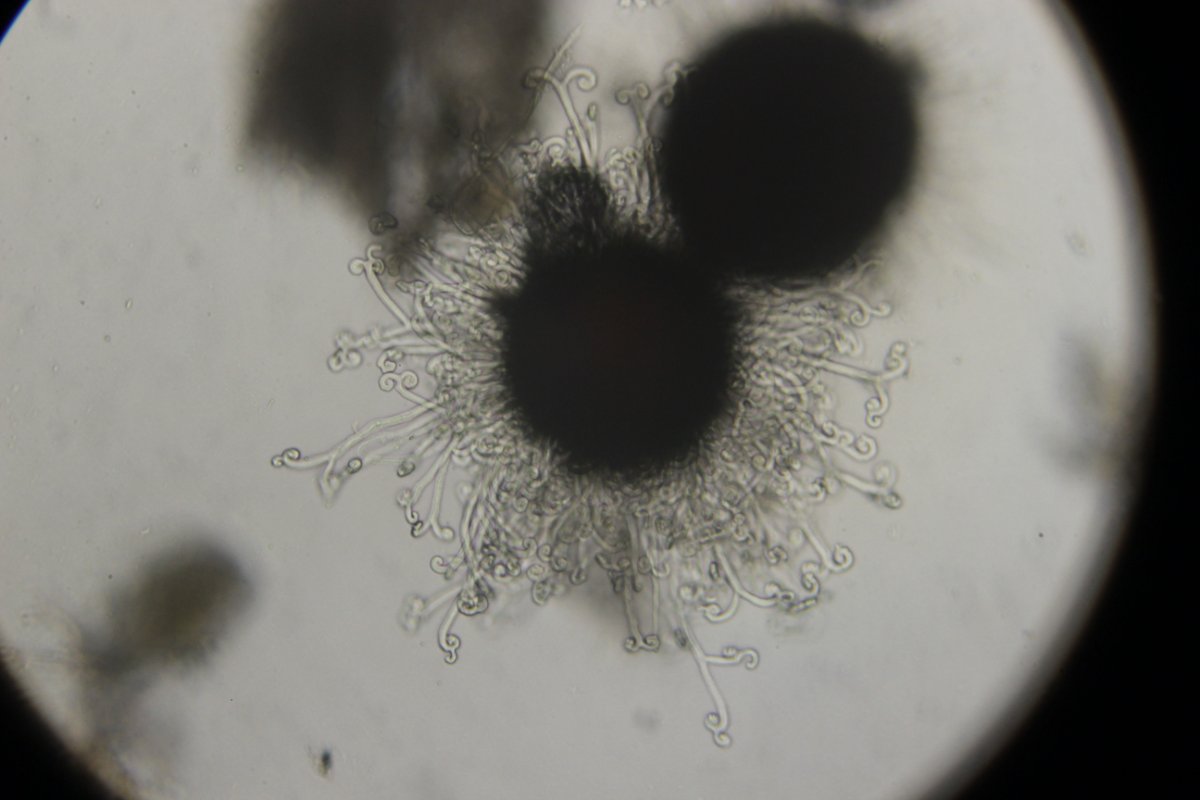 Halde Rungenberg-3717.jpg