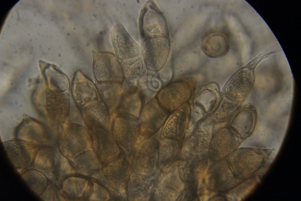 Halde Rungenberg-3722.jpg