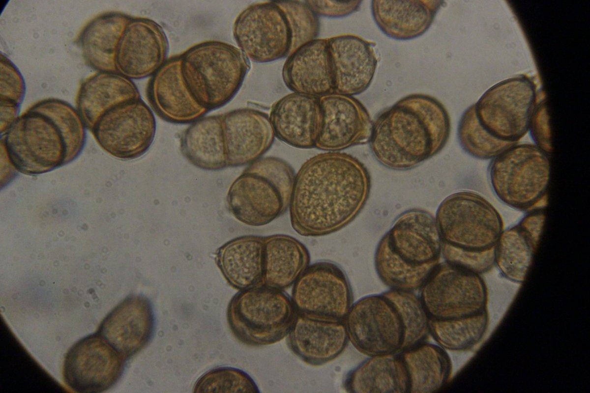 Halde Rungenberg-3736.jpg