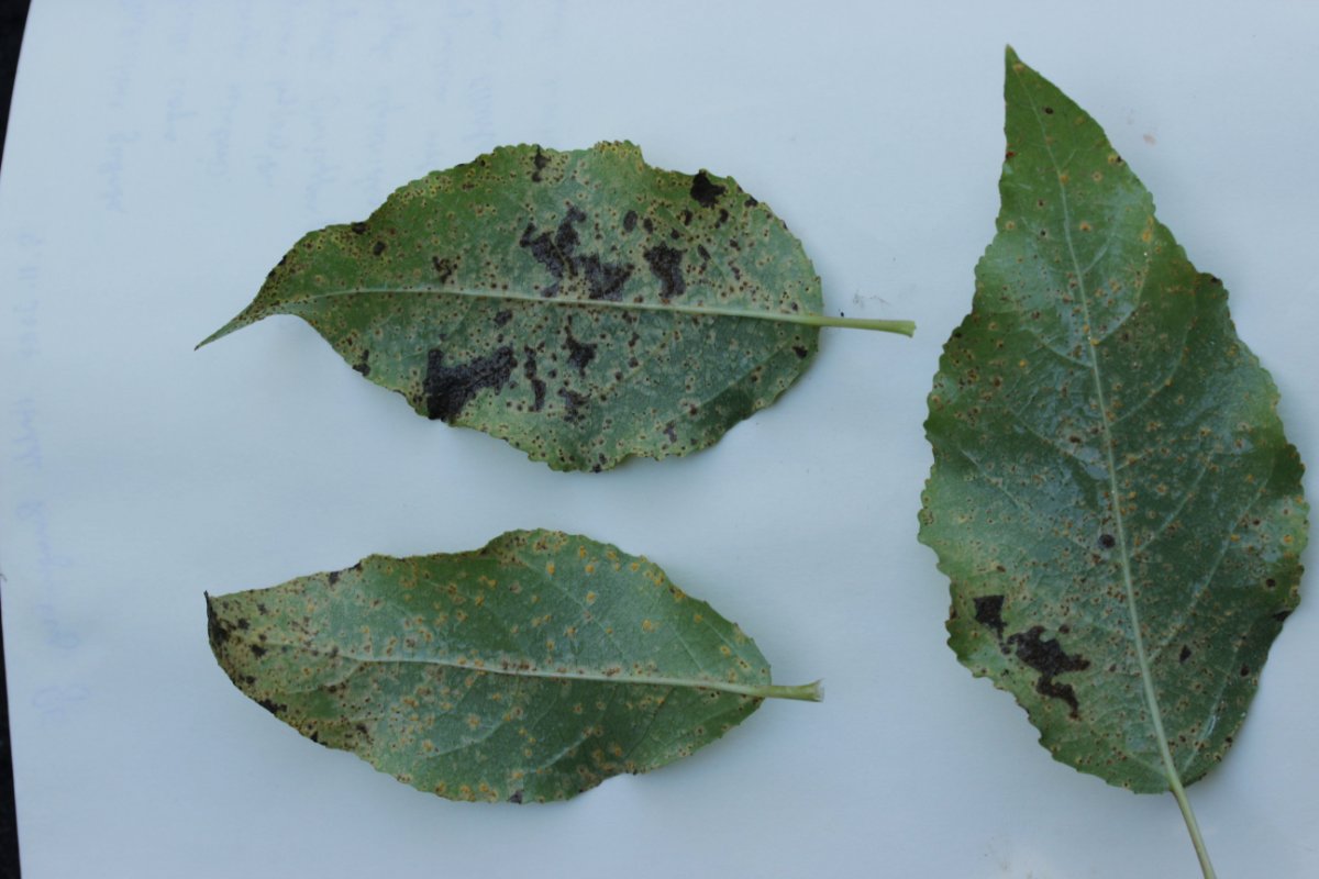 Halde Rungenberg-0032.jpg