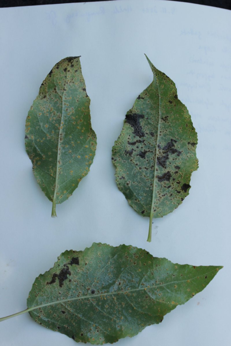 Halde Rungenberg-0033.jpg