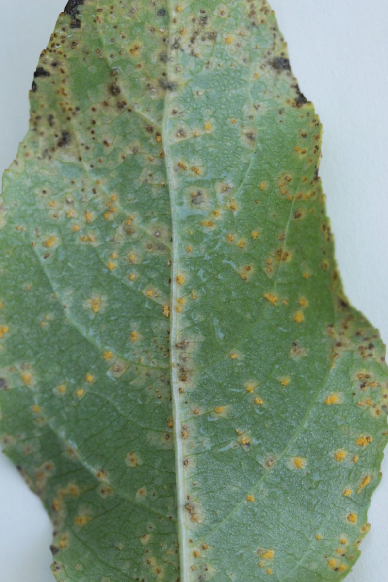 Halde Rungenberg-0035.jpg