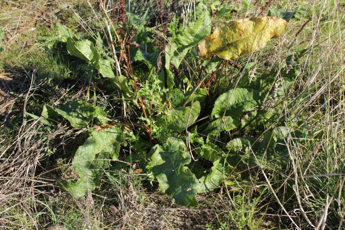 Halde Rungenberg-0048.jpg