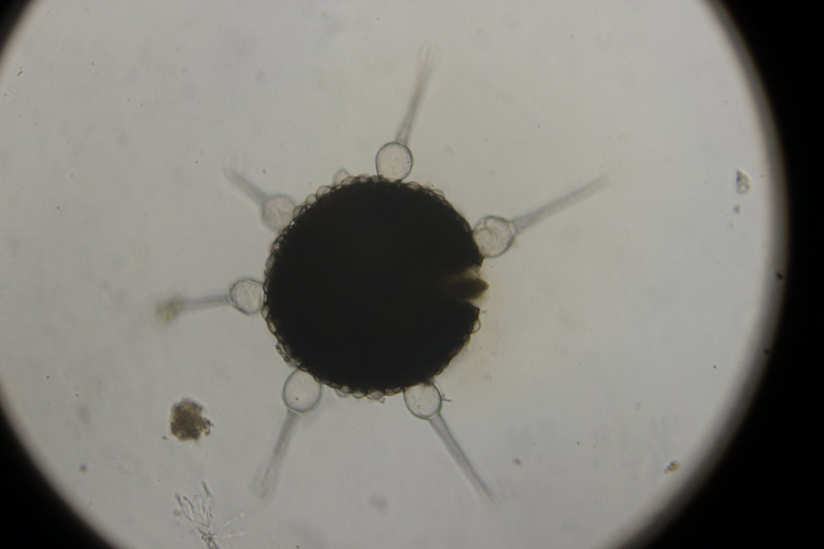 Halde Rungenberg-3760.jpg