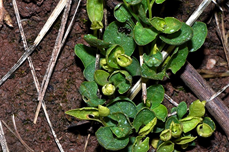 _DSC0263 Licht, Schärfe, klein.jpg