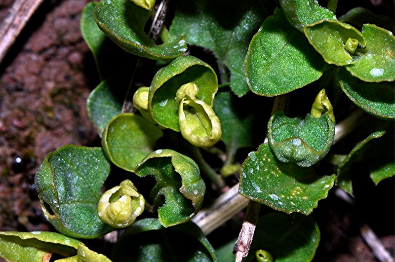 _DSC0265 Licht, Schärfe, klein.jpg