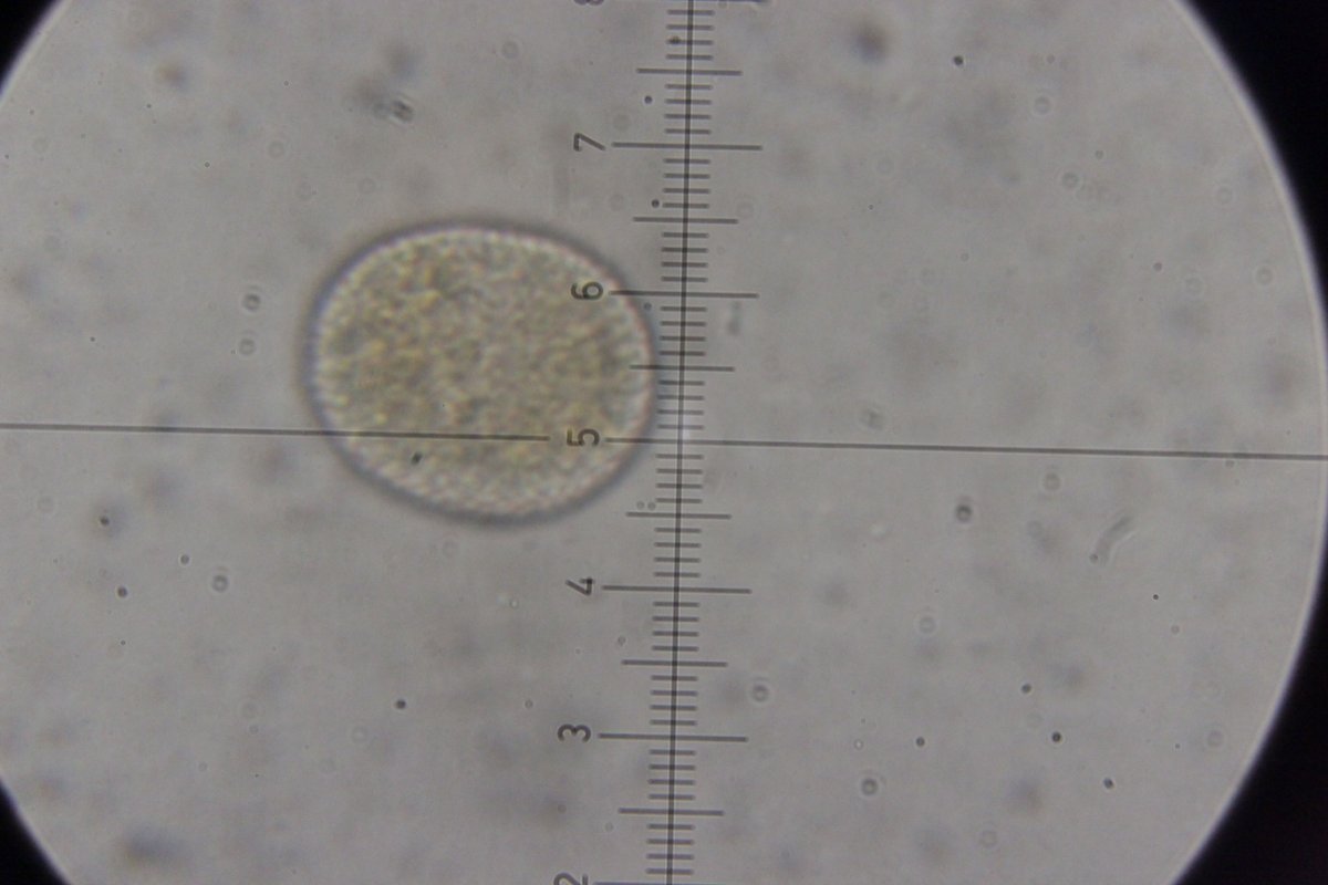 Gleispark Frintrop-0077.jpg