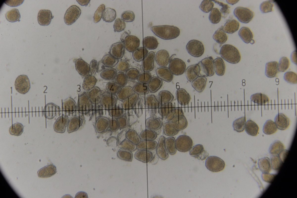 Gleispark Frintrop-0070.jpg