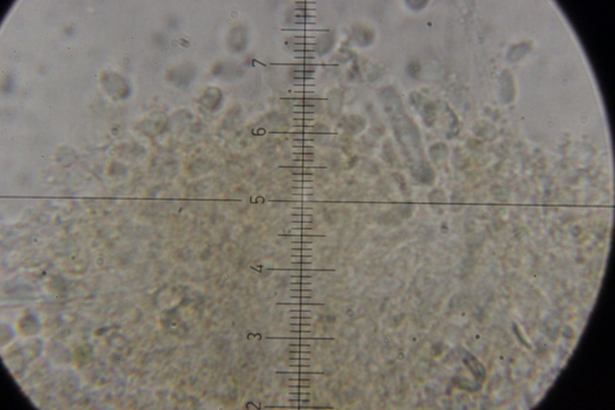 Rhein Neuenkamp-0040.jpg