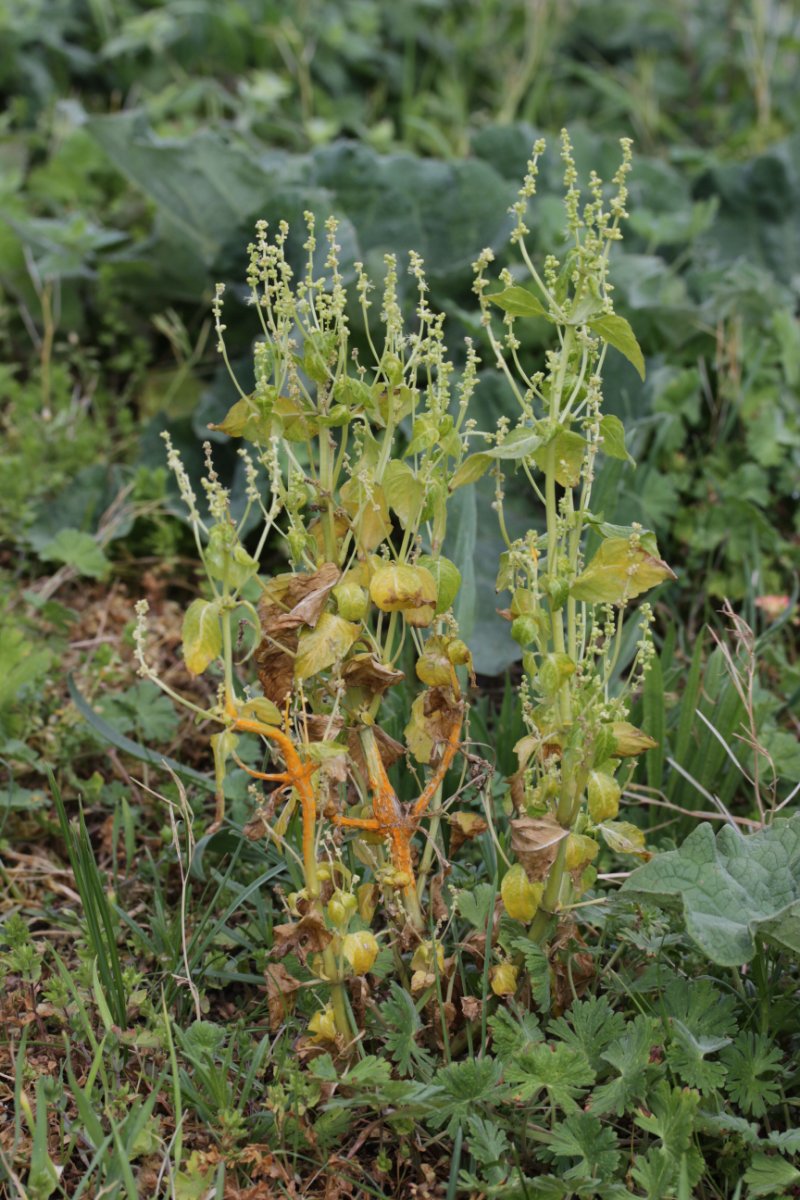 Rhein Duisburg-0003.jpg