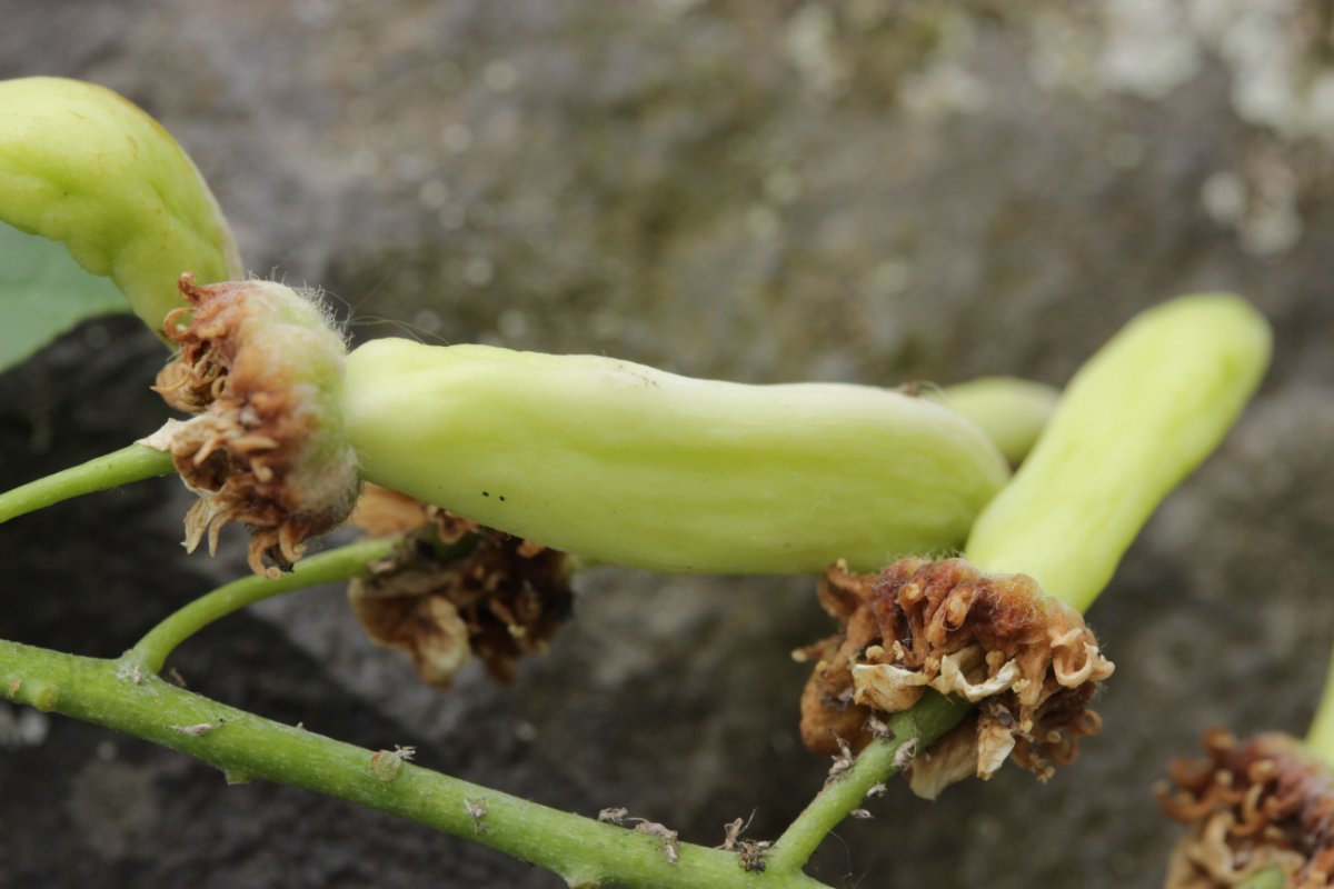 Rhein Duisburg-0007.jpg