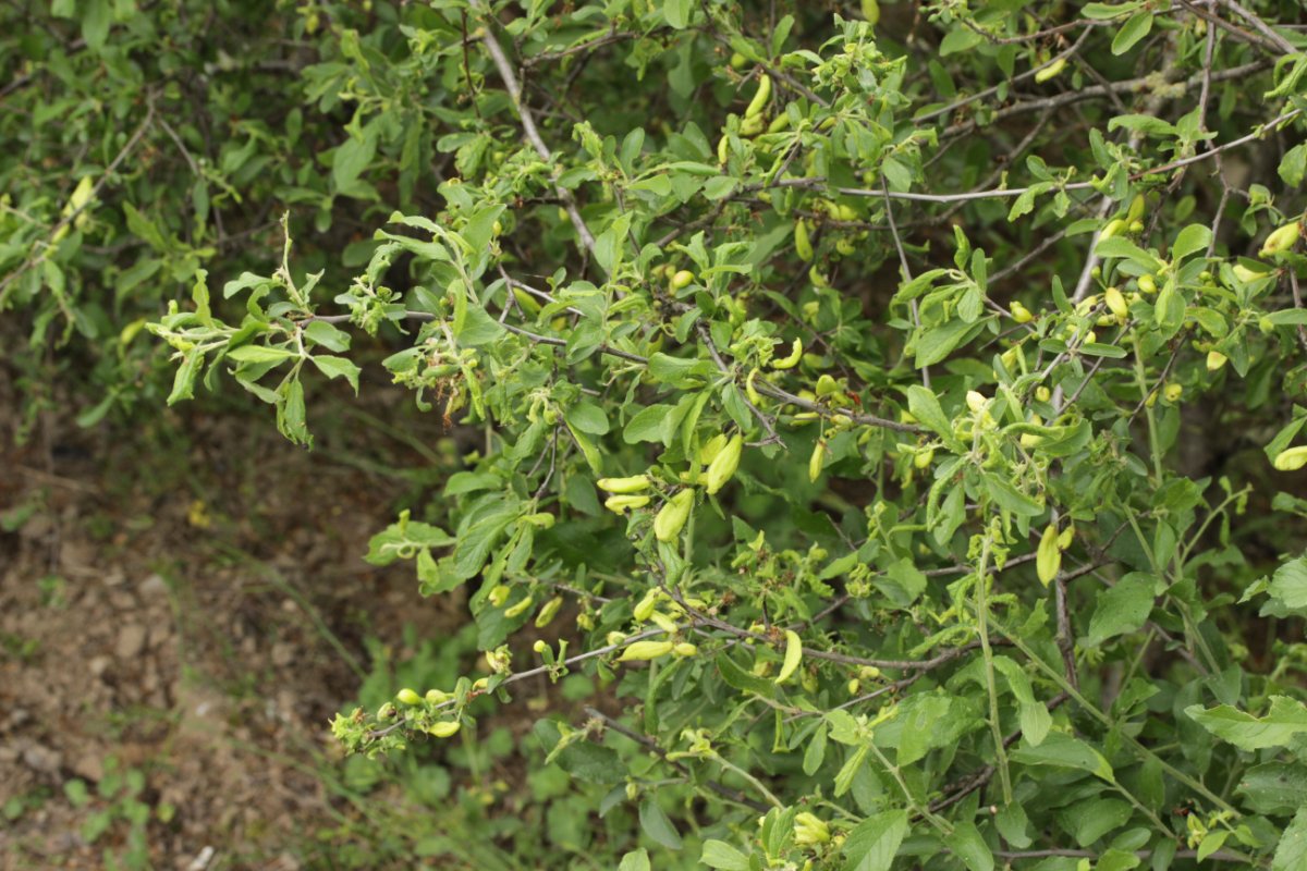 Rhein Duisburg-0016.jpg