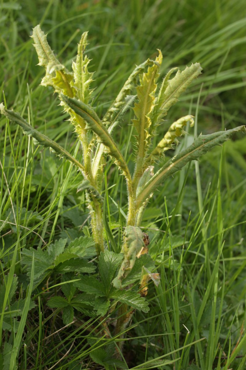 Rhein Duisburg-0020.jpg