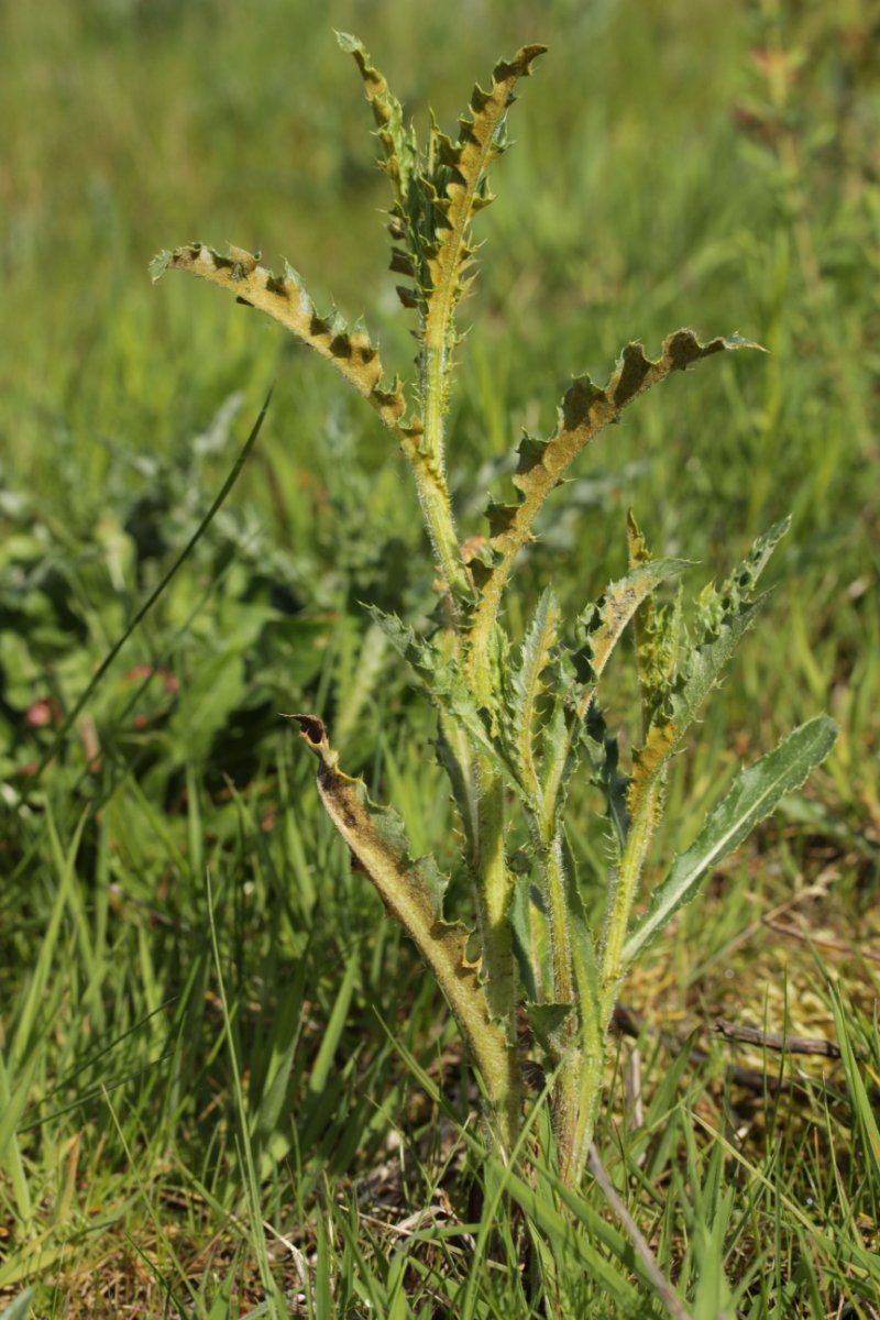 Rhein Duisburg-0022.jpg