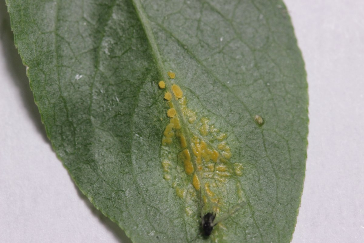 Rhein Duisburg-0072.jpg