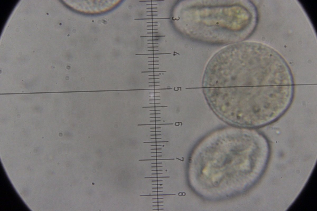 Rhein Duisburg-0075.jpg