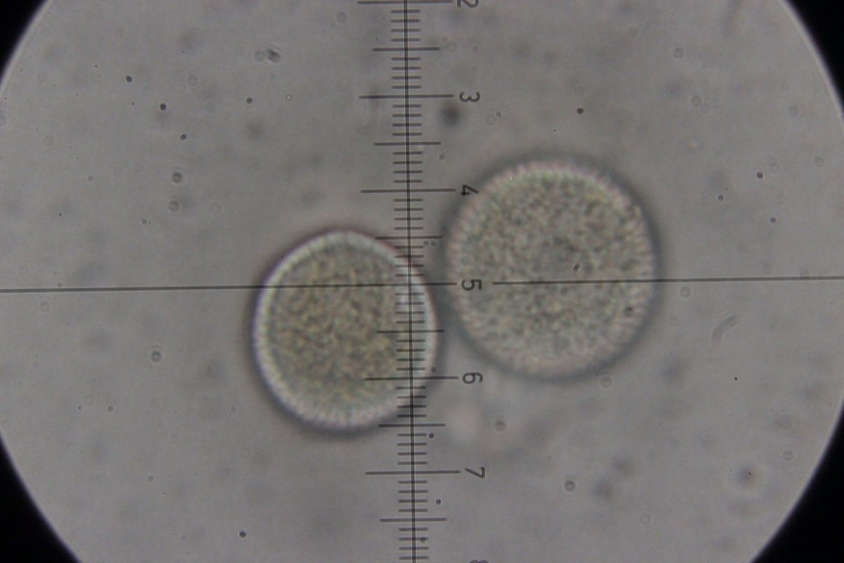 Rhein Duisburg-0076.jpg