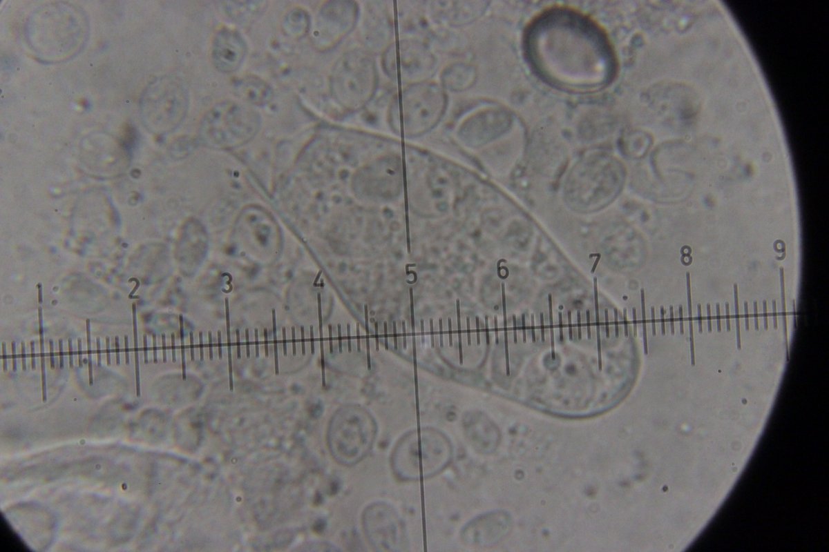 Rhein Duisburg-0081.jpg