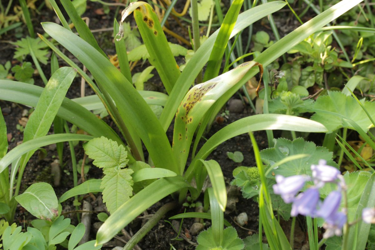 Botanischer Garten Duisburg-0022.jpg