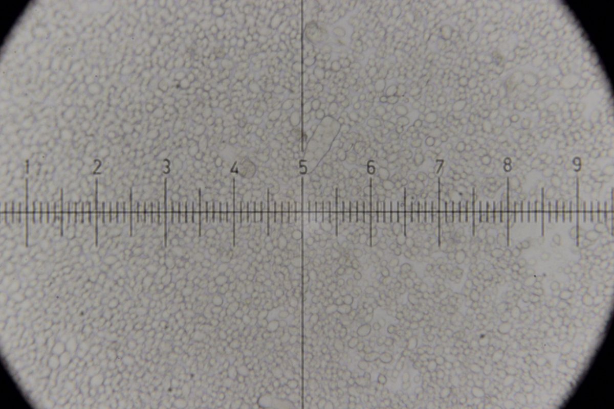 Hildener Heide-0107.jpg