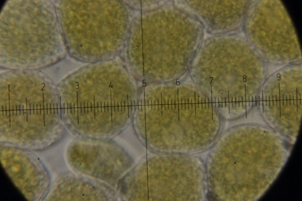 Hildener Heide-0145.jpg