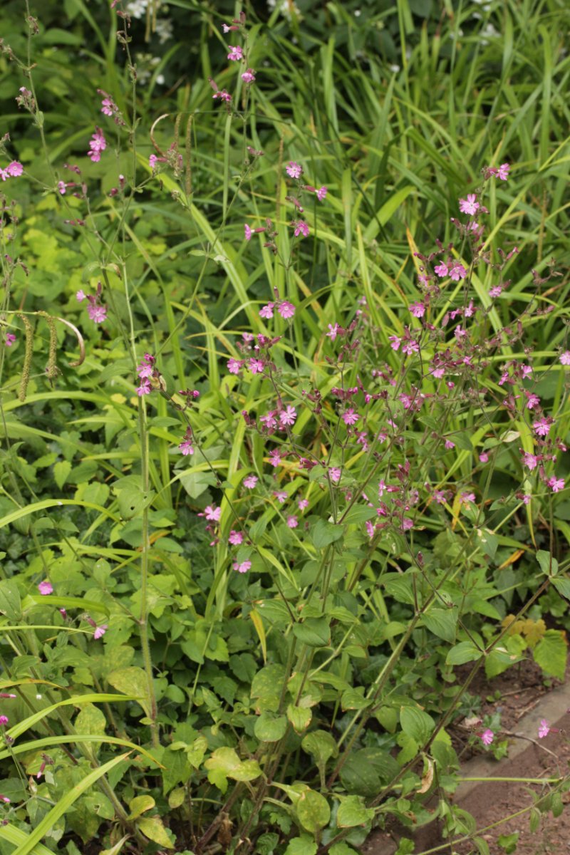 Botanischer Garten-0001.jpg