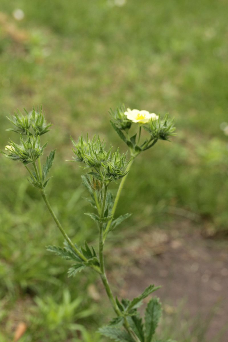 Botanischer Garten-0016.jpg