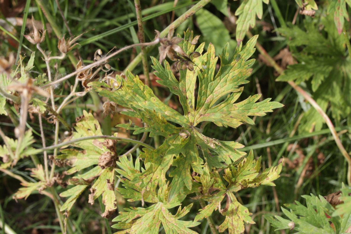 Herten und Hoheward-0018.jpg