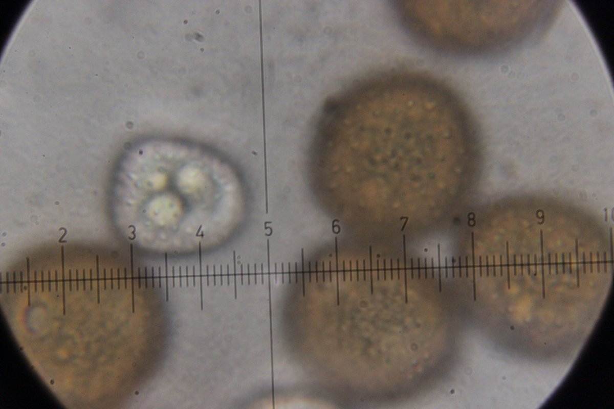 Herten und Hoheward-0123.jpg