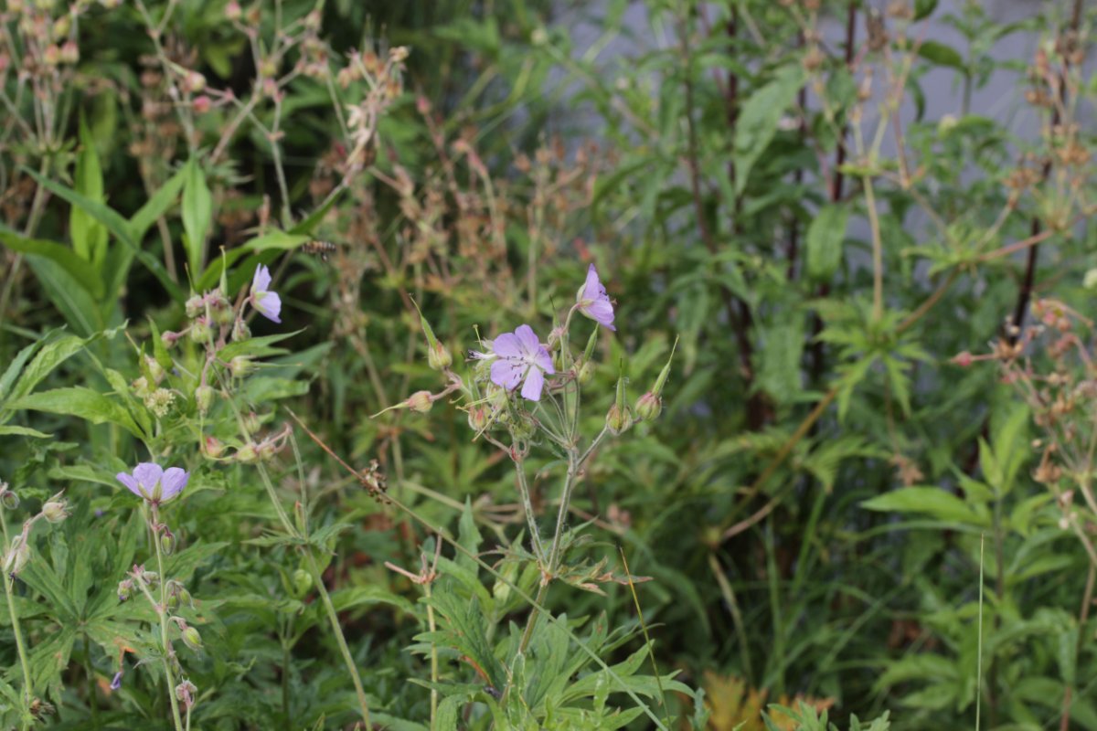 Herten und Hoheward-0026.jpg