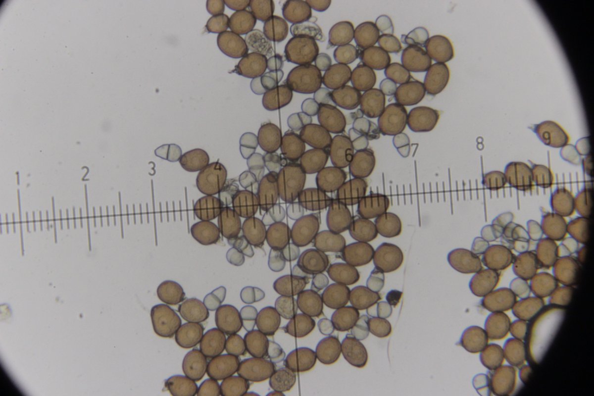 Herten und Hoheward-0121.jpg