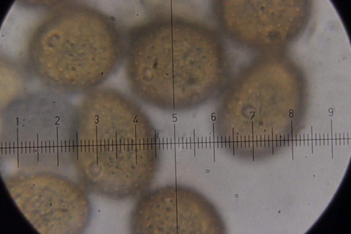 Rhein Duisburg-0117.jpg