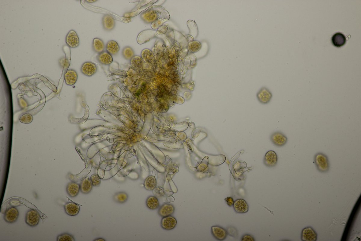 Effringhauser Schweiz-0023.jpg